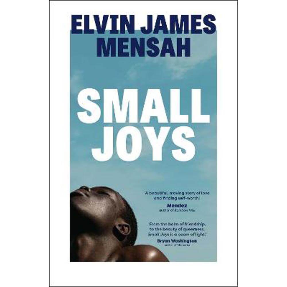 Small Joys: A Buzzfeed 'Amazing New Book You Need to Read ASAP' (Paperback) - Elvin James Mensah